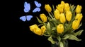 A bouquet of yellow tulips with blue butterflies isolated on a black background. beautiful flowers with moths. Isolate Royalty Free Stock Photo