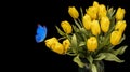 A bouquet of yellow tulips with blue butterfly isolated on a black background. beautiful flowers with moths. Isolate Royalty Free Stock Photo