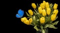 A bouquet of yellow tulips with blue butterfly isolated on a black background. beautiful flowers with moths. Isolate Royalty Free Stock Photo