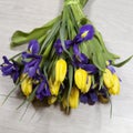 Bouquet of yellow tulips and blue irises lying on the floor Royalty Free Stock Photo