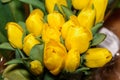 Bouquet of yellow tulips. Closeup. Buds of a tulips on a green stalk.