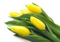 Bouquet of yellow tulips, copy space. Spring fresh flowers, mockup for mothers day, valentine or wedding greeting card. Royalty Free Stock Photo