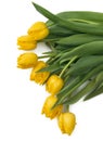 Bouquet of yellow tulips, copy space. Spring fresh flowers, mockup for mothers day, valentine or wedding greeting card. Royalty Free Stock Photo