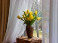 Bouquet of yellow tulips and daffodils  in a vase. Easter and spring greeting card. Women`s day, March 8 Royalty Free Stock Photo