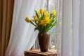 Bouquet of yellow tulips and daffodils  in a vase. Easter and spring greeting card. Women`s day, March 8 Royalty Free Stock Photo