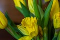 Bouquet of yellow tulips and daffodils  in a vase. Easter and spring greeting card. Women`s day, March 8 Royalty Free Stock Photo