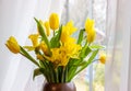 Bouquet of yellow tulips and daffodils  in a vase. Easter and spring greeting card. Women`s day, March 8 Royalty Free Stock Photo