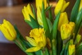 Bouquet of yellow tulips and daffodils  in a vase. Easter and spring greeting card. Women`s day, March 8 Royalty Free Stock Photo