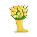 Bouquet of yellow tulips flowers in rubber boot. Spring composition for women's day, easter and other holidays Royalty Free Stock Photo