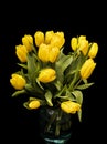 Bouquet of yellow tulips in a glass vase on a black background. beautiful flowers. March 8. St. Valentine`s Day Royalty Free Stock Photo