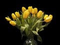 Bouquet of yellow tulips in a glass vase on a black background. beautiful flowers. St. Valentine`s Day. March 8 Royalty Free Stock Photo