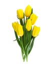 Bouquet of yellow tulips isolated on white background