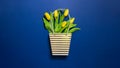 Bouquet of yellow tulips in paper striped bag on dark blue background. Concept of Women day, 8 March, Valentines day, mothers day