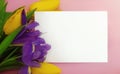 Bouquet of yellow tulips and purple irises with a white card for text on a pink background. View from above. Copyspace Royalty Free Stock Photo
