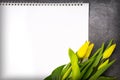 Bouquet of yellow tulips and a spiral notebook on a gray background. Royalty Free Stock Photo