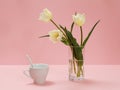 Bouquet of yellow tulips in vase with cup on a pink background Royalty Free Stock Photo