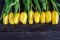 Bouquet of yellow tulips