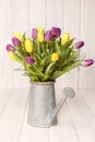 Bouquet of yellow and violet tulips in silver watering can Royalty Free Stock Photo