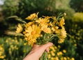 Bouquet of wild flowers in hand