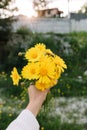 Bouquet of wild flowers in hand