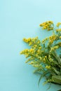 Bouquet of yellow wildflowers on a green light vertical background Royalty Free Stock Photo