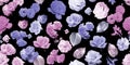 Pink and blue roses in the night. Pattern with flowers in the black background