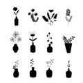 Vases and bottles with flowers and plants. Vector illustration. Black silhouettes. Royalty Free Stock Photo