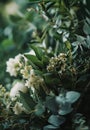 bouquets of different greens and white flowers for a wedding