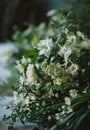 bouquets of different greens and white flowers for a wedding