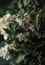 bouquets of different greens and white flowers for a wedding