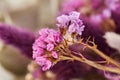 bouquets of dried flowers with ribbon on white background Royalty Free Stock Photo