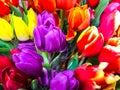 Bouquets of fresh colorful tulips, sale in the market