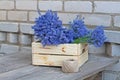 Bouquets of lavender in wooden box and a coil of rope