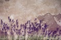 Bouquets of lavender on a wooden table top view Royalty Free Stock Photo