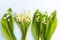 Bouquets of lilies of the valley on a blue background.