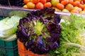 Bouquets of lush curly lettuce