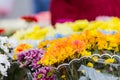 Bouquets of multi-colored chrysanthemums are sold at a street market. Yellow, blue, red, purple flowers Royalty Free Stock Photo