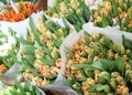 Binches of orange tulips for Mothers Day and Koningsdag celebrations, Amsterdam, Netherlands