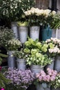 Bouquets of pink roses and red tulips, green hydrangea in pastel colors in large zinc buckets for sale in store