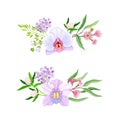 Bouquets with pink tropical flowers and leaves set. Floral composition with exotic plants for card, invitation decor