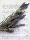 A Bouquets of Purple lavender on music note page