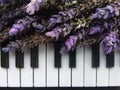 A Bouquets of Purple lavender on piano keyboard Royalty Free Stock Photo