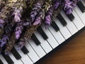 A Bouquets of Purple lavender on piano keyboard Royalty Free Stock Photo