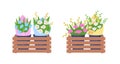 Bouquets on shelves flat color vector object set Royalty Free Stock Photo