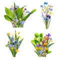 Bouquets from spring wild flowers isolated Royalty Free Stock Photo