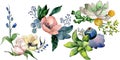 Bouquets with succulent floral botanical flowers. Watercolor background set. Isolated succulents illustration element.