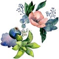 Bouquets with succulent floral botanical flowers. Watercolor background set. Isolated succulents illustration element.