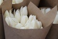 Bouquets of tulip flowers wrapped in wrapping paper, prepared for transportation to flower sellers. Cultivation of