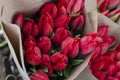 Bouquets of tulip flowers wrapped in wrapping paper, prepared for transportation to flower sellers. Cultivation of