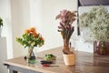 Bouquets of variegated ornamental plants arranged by floral designer